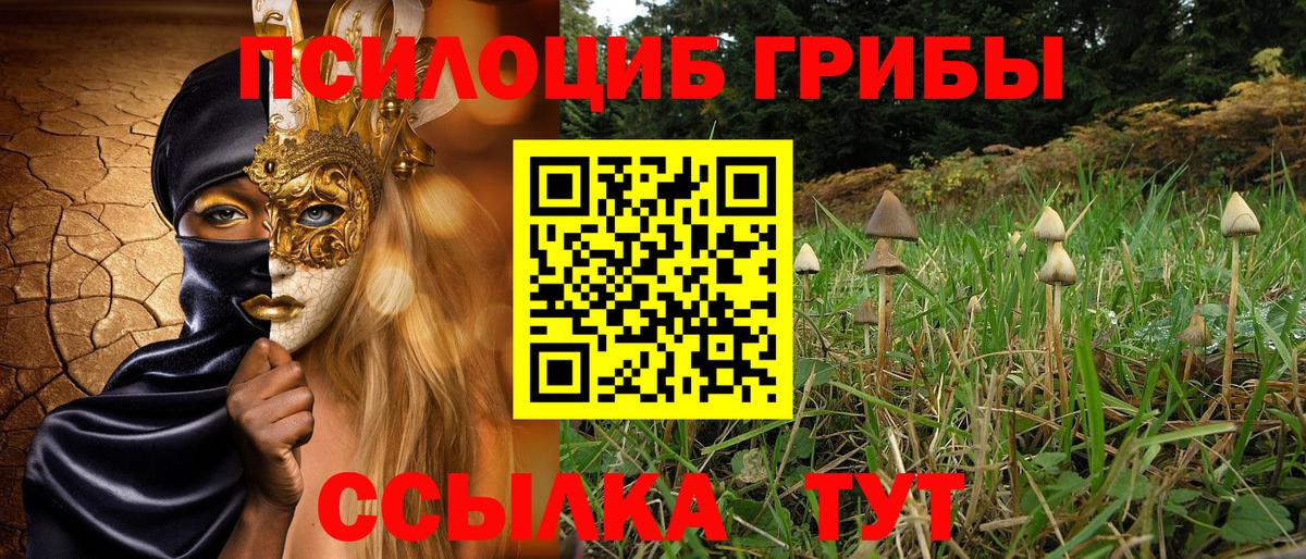 Галлюциногенные грибы MAGIC MUSHROOMS Балашов