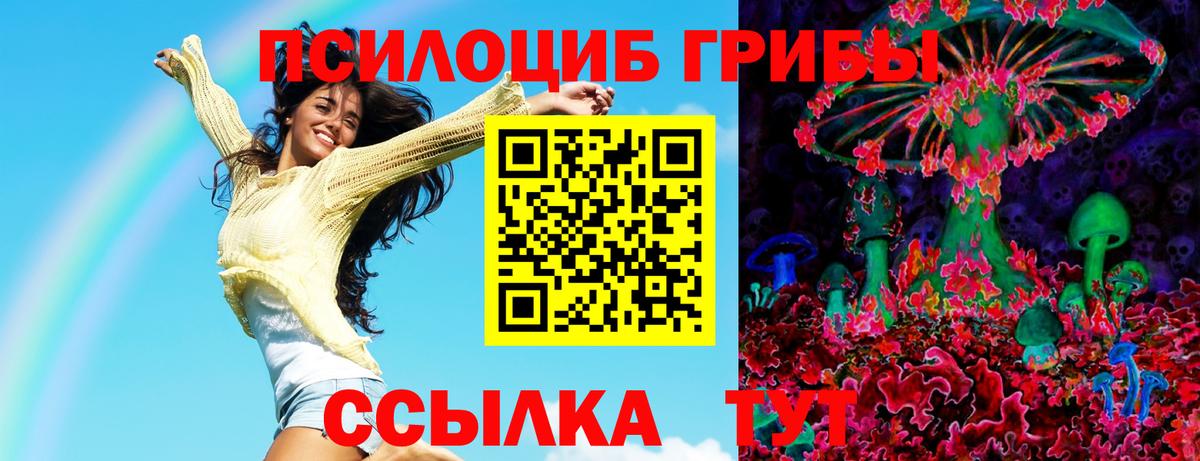 Балашов  Псилоцибиновые грибы Psilocybe  Вход с VPN 